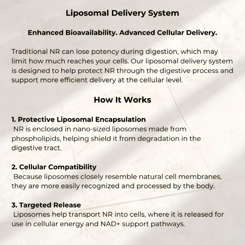 Liposomal NR 300mg