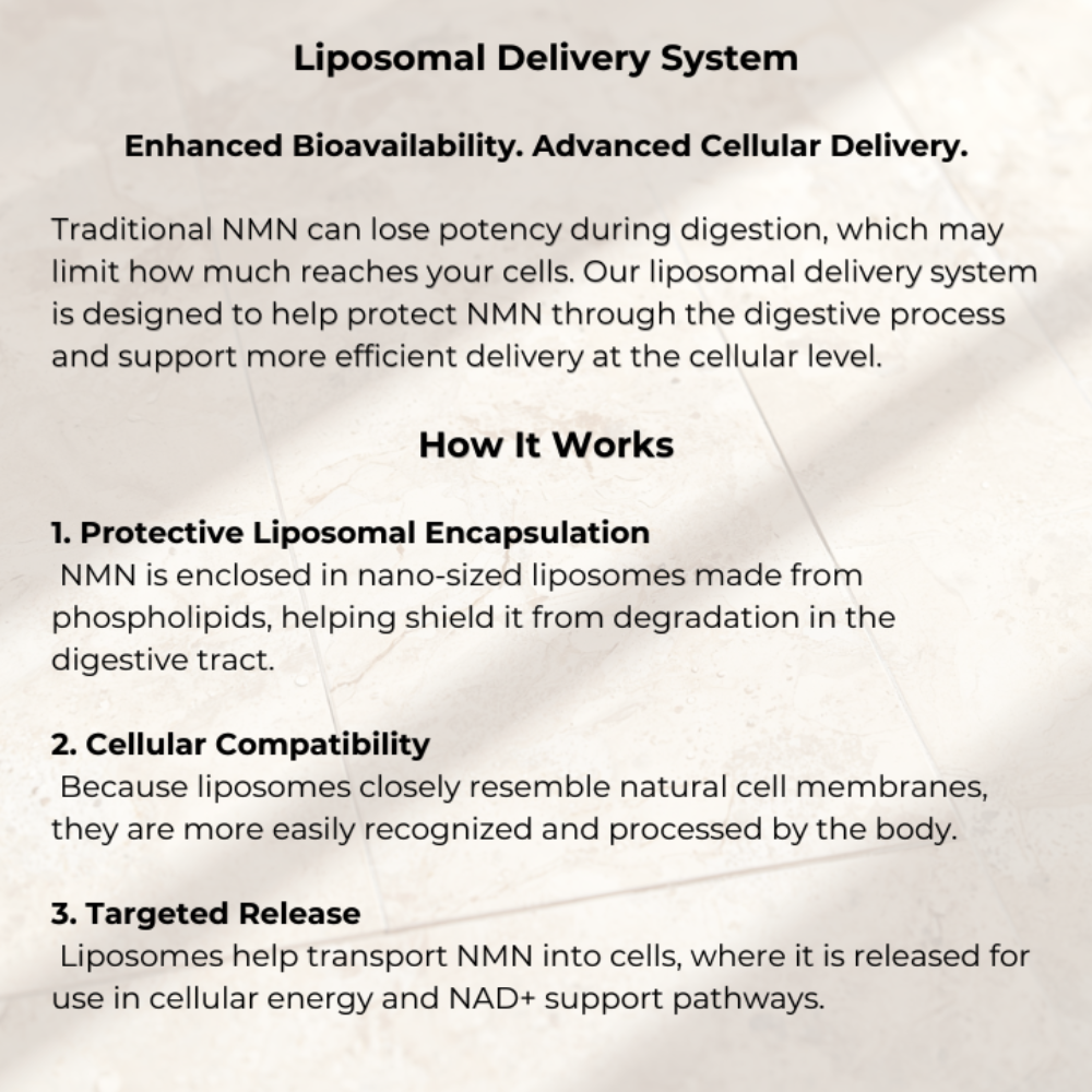 Liposomal NMN 300mg